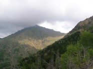 la meta con il cappello