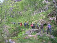 parte bassa del percosco