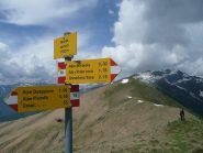 Dal M.Cerano, dorsale per il Poggio Croce e M. Massone sullo sfondo