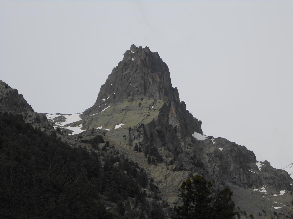 La Guglia delle Forciolline