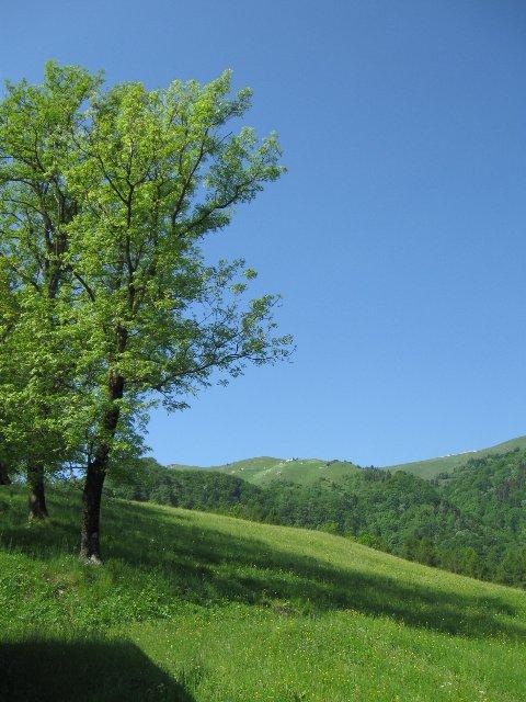 pascoli dopo casera Fossa