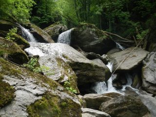 ambiente vallungo