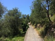 la cementata da Cervo verso i Ciapà