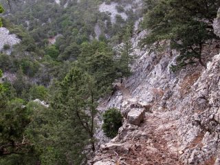 La mulattiera che scende nella gola