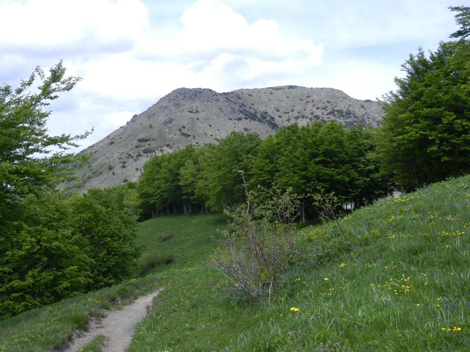 Il Monte Ragola visto dal percorso di rientro