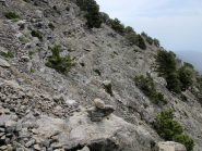 Intorno a quota1600 si sta per contornare la cresta