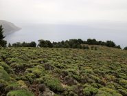 Scendendo da Papoures verso il bosco