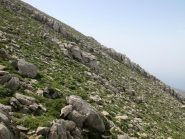 Le due caratteristiche crestine