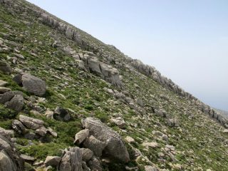 Le due caratteristiche crestine