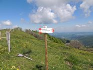 cartello segnavia