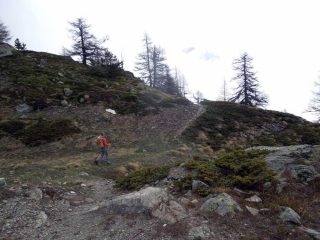 sentiero da quota 2290