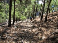 Scendendo a valle di Fliskounias