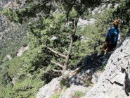 Scendendo verso Fliskounias