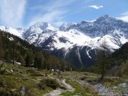 nord gran zebrù ed ortles sempre sullo sfondo