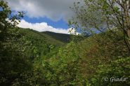 Verso il crinale del Garezzo
