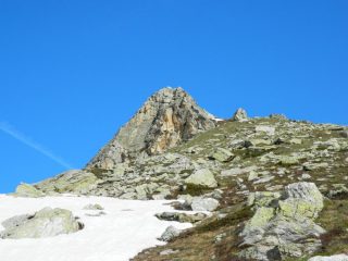 Quasi sulla cima  