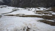 Ora su lingue di neve....