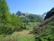 Grange Calligaris e punta