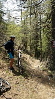 sentiero nel bosco