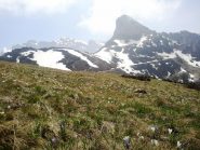 testa del duca dal colle del prel