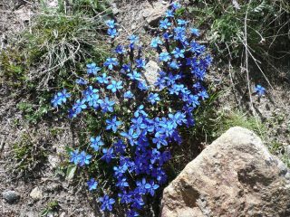 Nel blu ... dipinto di blu ...