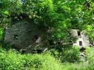Case invase dalla vegetazione