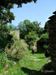 Immersi nel verde tra le borgate abbandonate