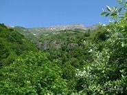 Tanto verde lungo il giro