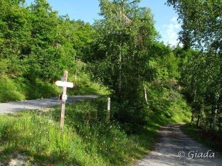 Il bivio a Aimoni dove si arriva.