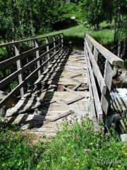 Ponte un pò malridotto attenzione