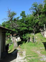 In mezzo alle case