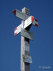 Palina alla colla di Chionea