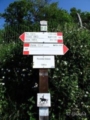 Paline si sa sempre dove ci si trova