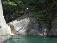 il sempre grigio-verde brun