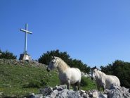 Sul Carmo
