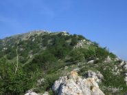 Il crinale verso il Carmo
