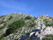 La vegetazione lascia spazio alle rocce