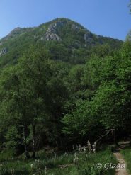 Vista sul versanti di discesa