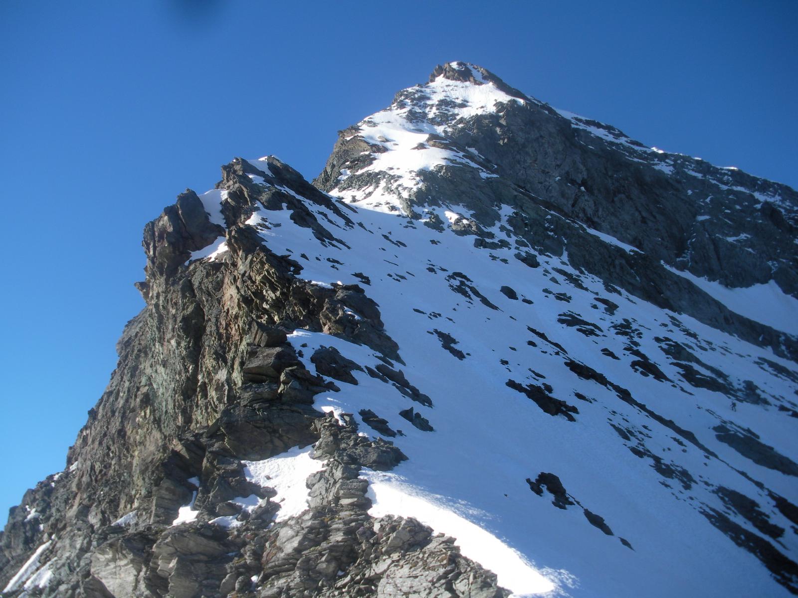 ..per questa ardita cresta in eccellenti condizioni..