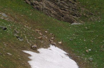 Alcuni locals