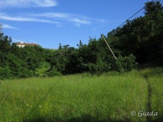 Il pratone prima del colle San Bernardo