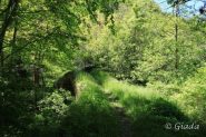 Antico ponte poco sotto la chiesetta