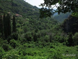 La val Neva