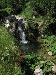 Lungo il ruscello