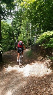 nel bosco