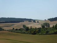 campi di grano alle pendici dei pirenei
