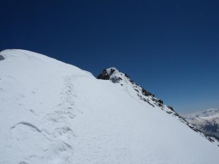 vetta