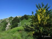 Maggiociondoli sul crinale