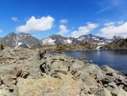 Maladecia, gias dei laghi, aver e lombarda dal lago di S.Anna