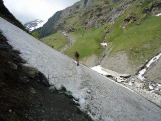 nevaio assicurato